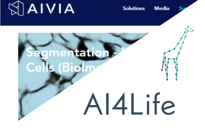 Models developed in AI4Life and Bioimage.io now made available in AIVIA